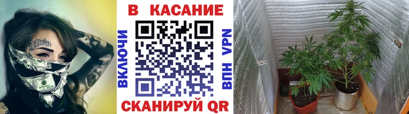 Купить наркотики цена Кондопога Каннабис  Кокаин  Alpha PVP  МЕТАДОН  Гашиш 