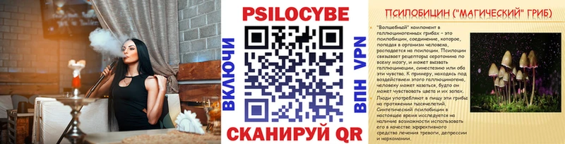 хочу   Кондопога  блэк спрут tor  Псилоцибиновые грибы GOLDEN TEACHER 